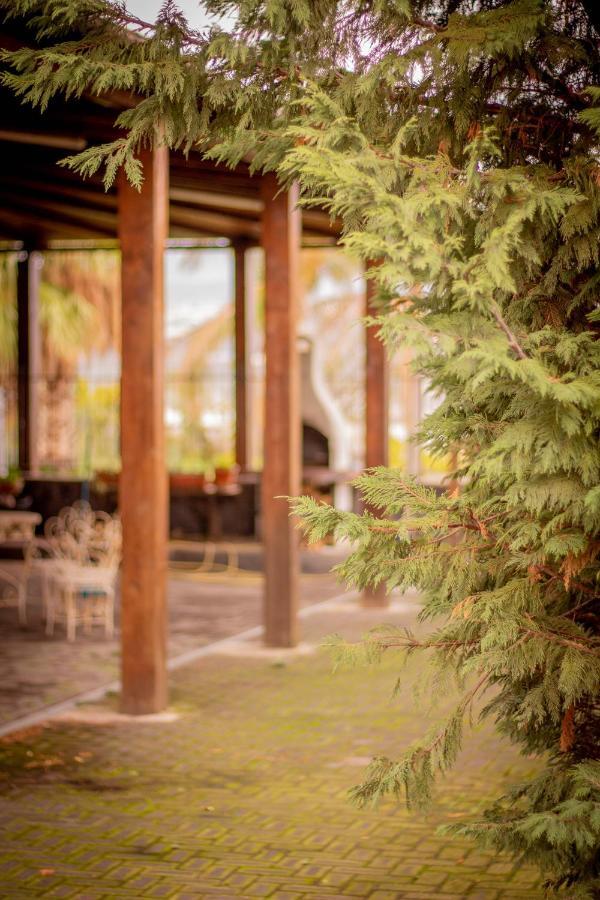Bed & Breakfast Kalinka Bed & Breakfast มอตตา ซานต์ อนาสตาเซีย ภายนอก รูปภาพ